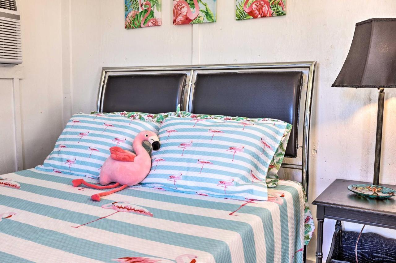 Flirty Flamingo Studio 1 Mi To Canyon Lake Zewnętrze zdjęcie